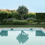 فيلة Liberal Wing *