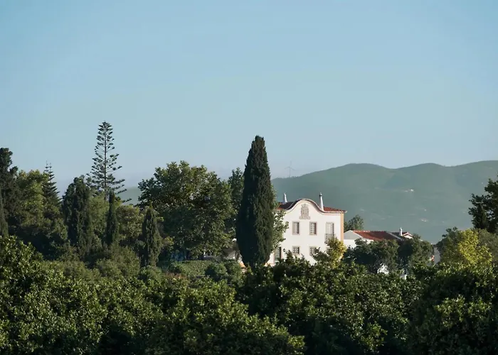 ヴィラ Liberal Wing *