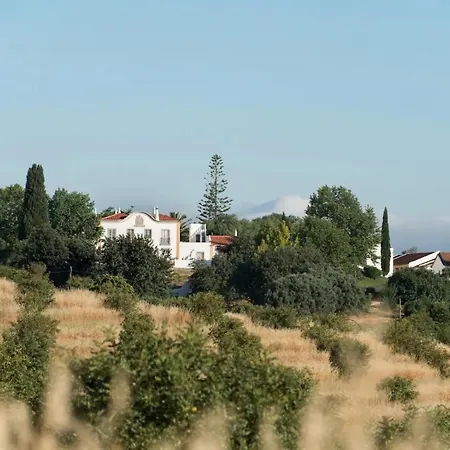 Liberal Wing Villa *