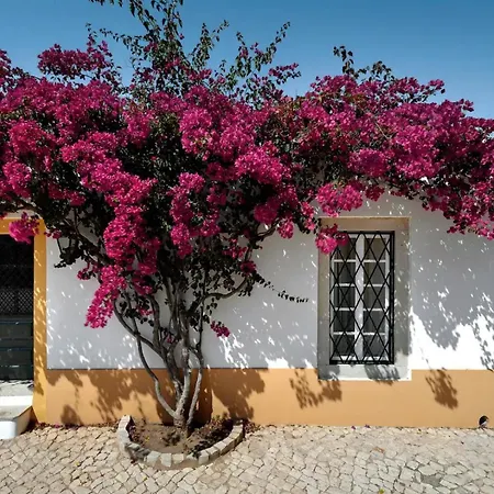 Liberal Wing Villa *